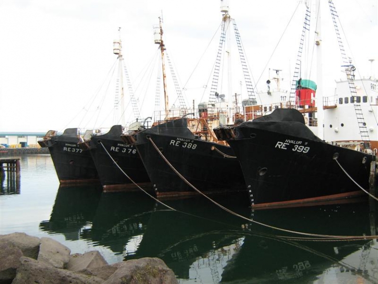 A&eth;alme&eth;fer&eth; &iacute; dag vegna tekjutaps starfsmanna Hvals eftir frestun hvalvei&eth;a