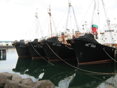 A&eth;alme&eth;fer&eth; &iacute; dag vegna tekjutaps starfsmanna Hvals eftir frestun hvalvei&eth;a