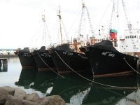 A&eth;alme&eth;fer&eth; &iacute; dag vegna tekjutaps starfsmanna Hvals eftir frestun hvalvei&eth;a