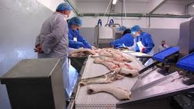 Verkal&yacute;&eth;sf&eacute;lag Akraness l&aacute;nar fyrrverandi starfsm&ouml;nnum &Iacute;sfisk t&aelig;par 10 millj&oacute;nir