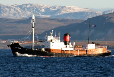 Hvalafrumvarpinu fresta&eth; fram &aacute; haust&thorn;ingi&eth;