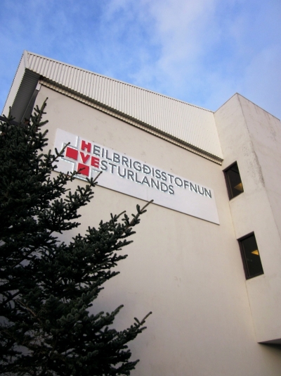 &Oacute;tr&uacute;leg vinnubr&ouml;g&eth; fj&aacute;rm&aacute;lar&aacute;&eth;neytisins