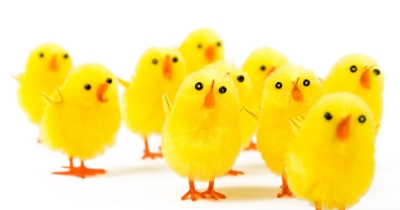 P&aacute;skar &iacute; orlofsh&uacute;sum f&eacute;lagsins 2026